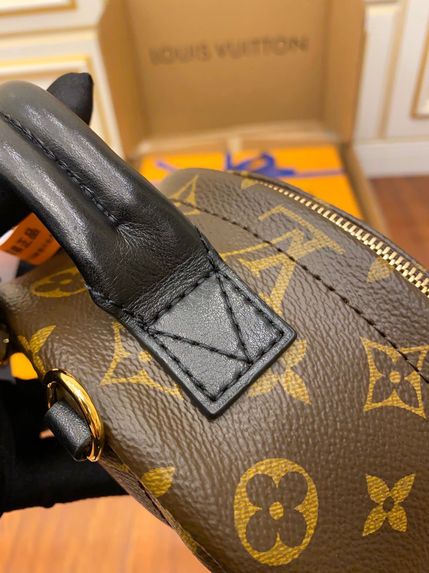 Louis Vuitton Palm Springs Mini Backpack in Monogram Canvas