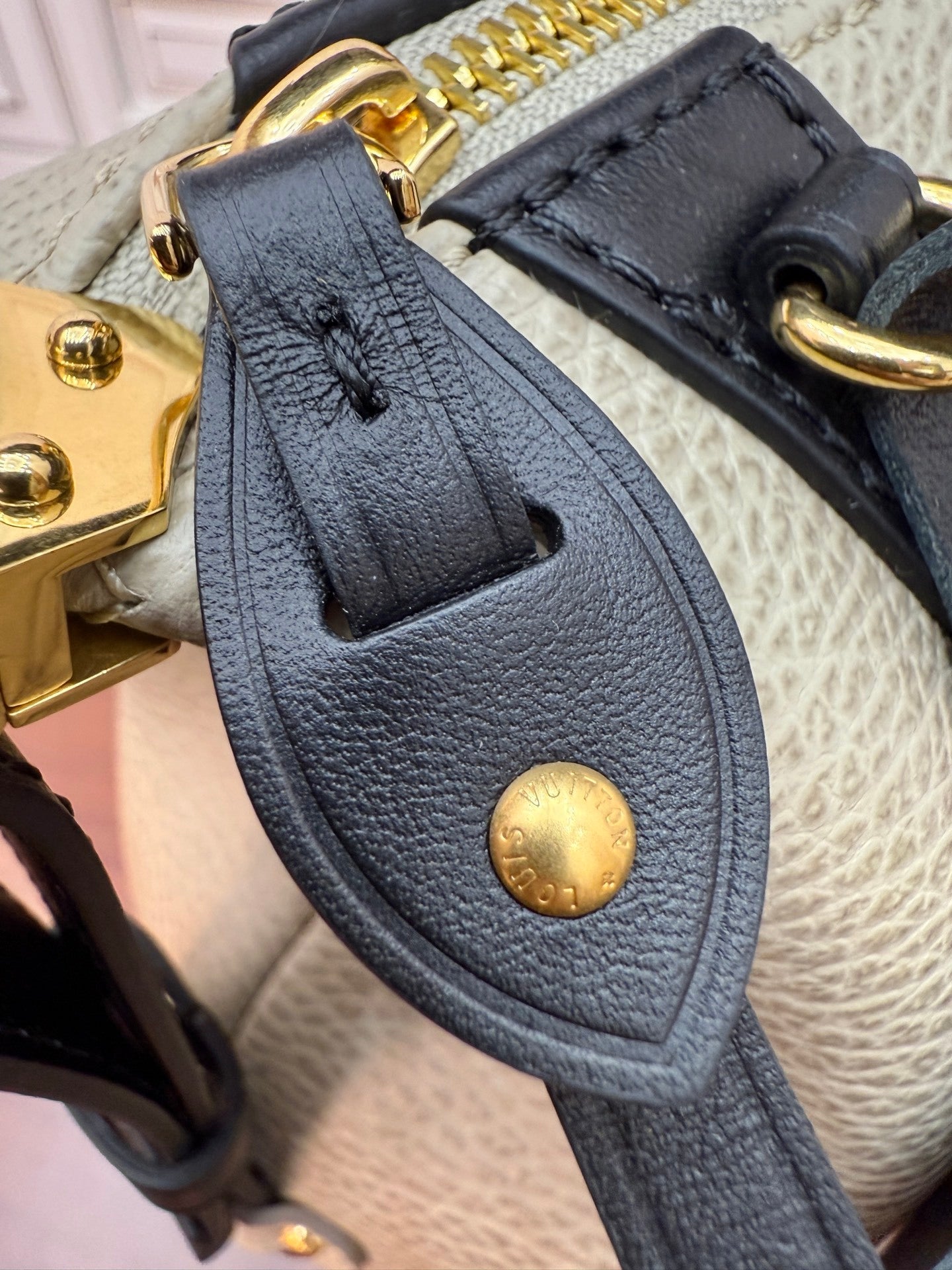 Louis Vuitton Biker PM Bag in Pixel Grège Lambskin with Black Leather Trim