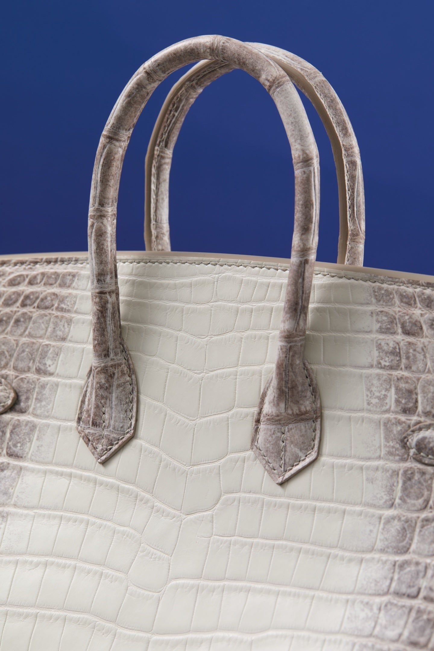 Hermès Birkin Himalaya Niloticus Crocodile – Iconic White & Grey Gradient Exotic Leather Bag