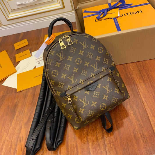 Louis Vuitton Palm Springs Backpack – Monogram Canvas, Brown (M41560)