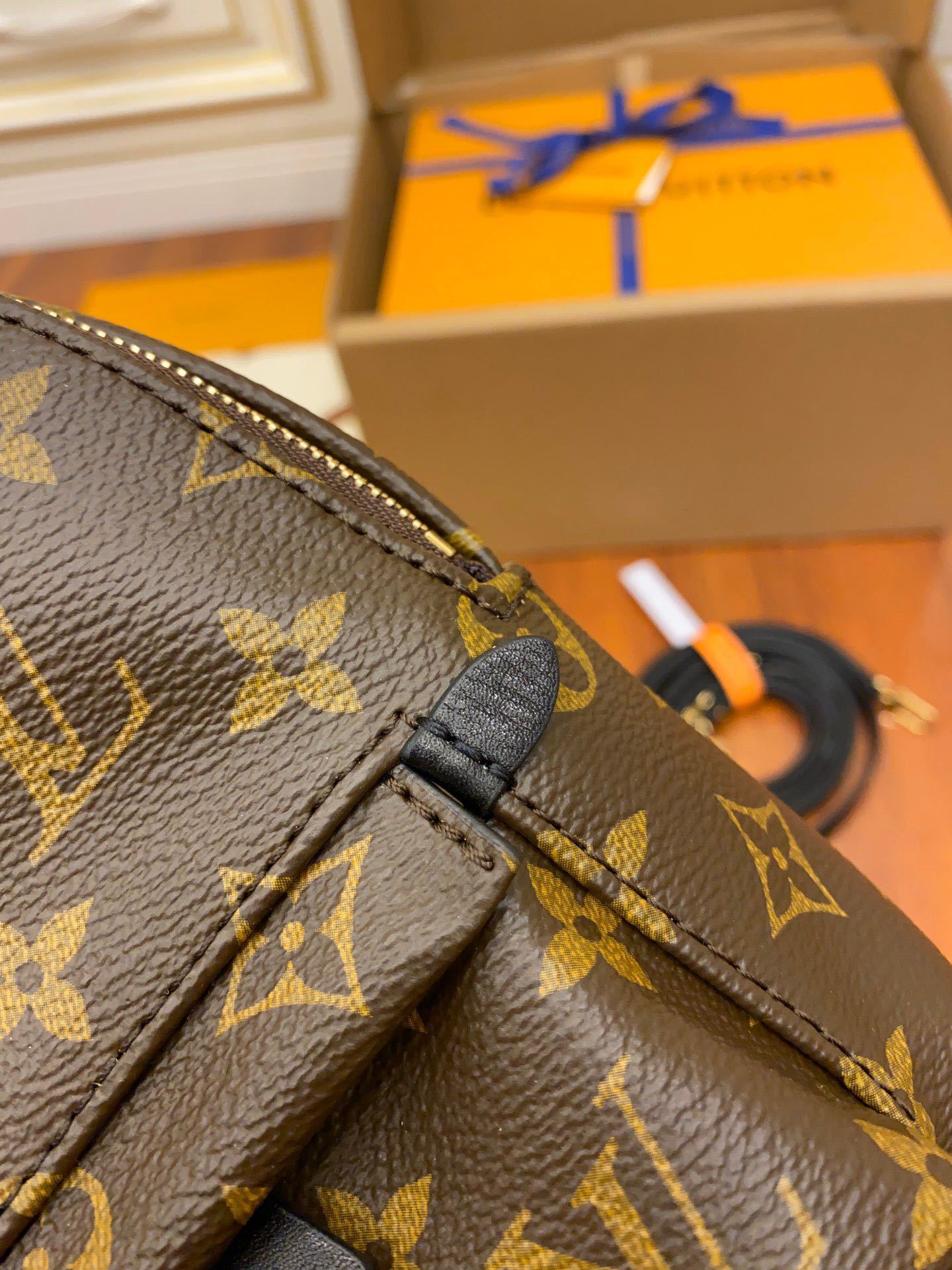 Louis Vuitton Palm Springs Mini Backpack in Monogram Canvas