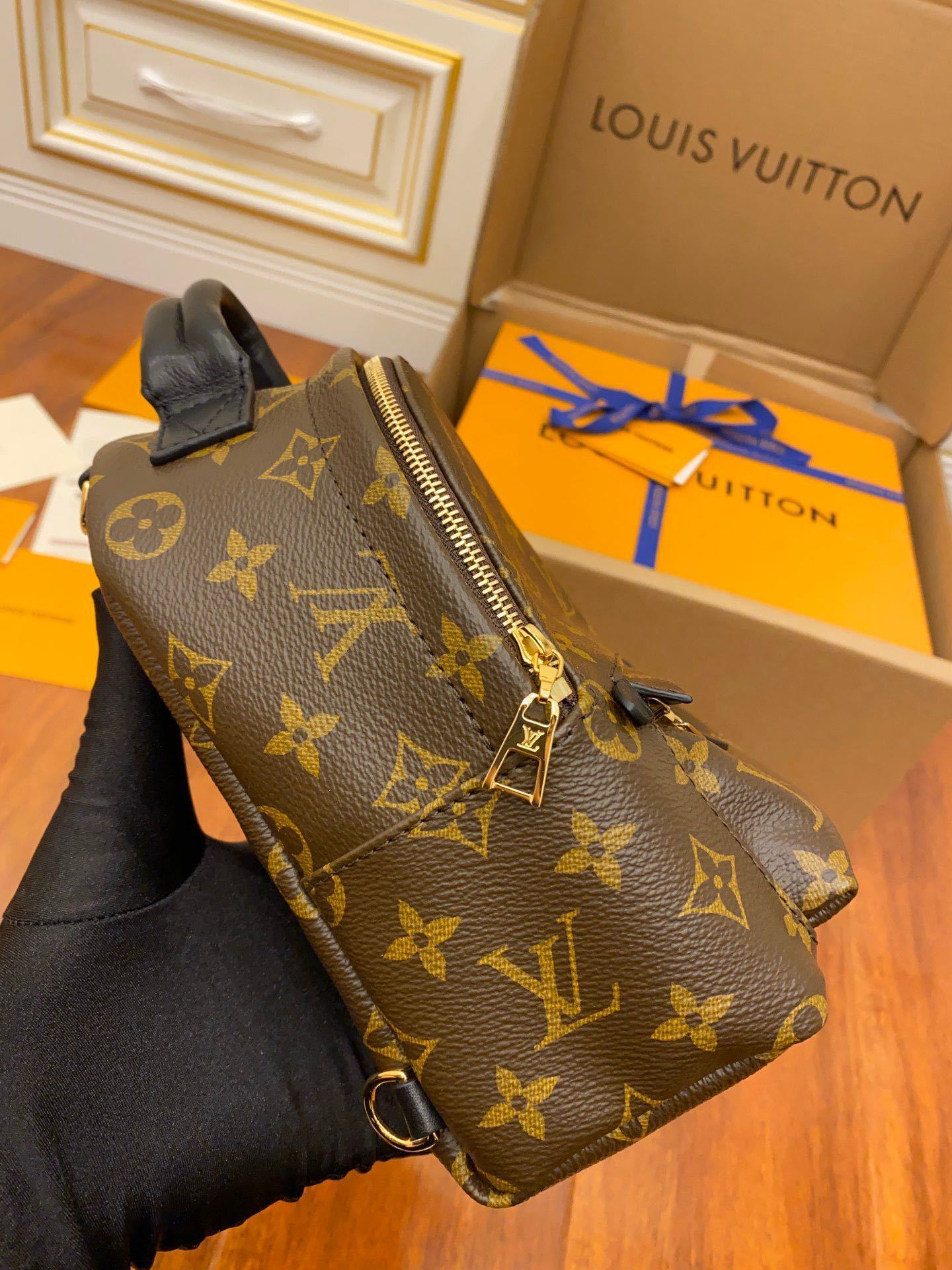 Louis Vuitton Palm Springs Mini Backpack in Monogram Canvas