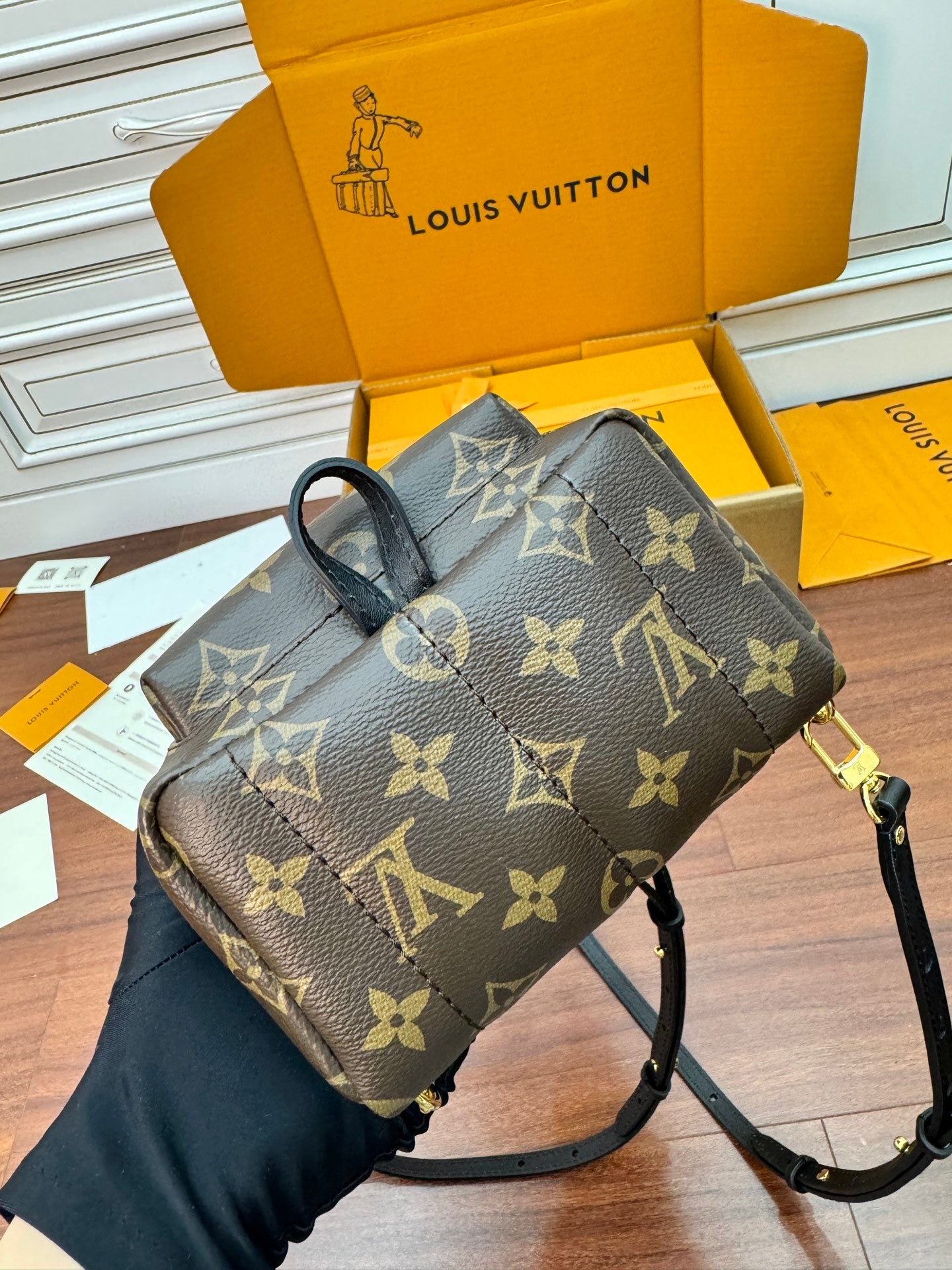 Louis Vuitton Palm Springs Mini Backpack in Monogram Canvas