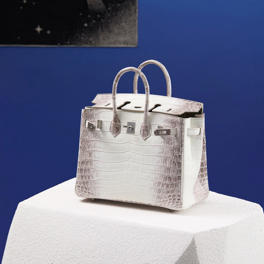 Hermès Birkin Himalaya Niloticus Crocodile – Iconic White & Grey Gradient Exotic Leather Bag