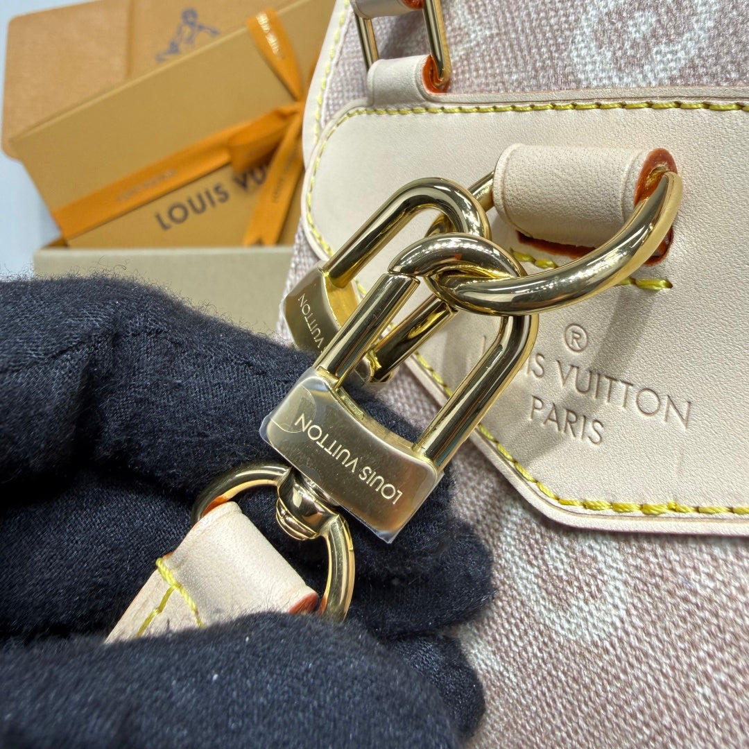Louis Vuitton Montsouris PM Monogram Canvas Handbag Luxury Designer Bag
