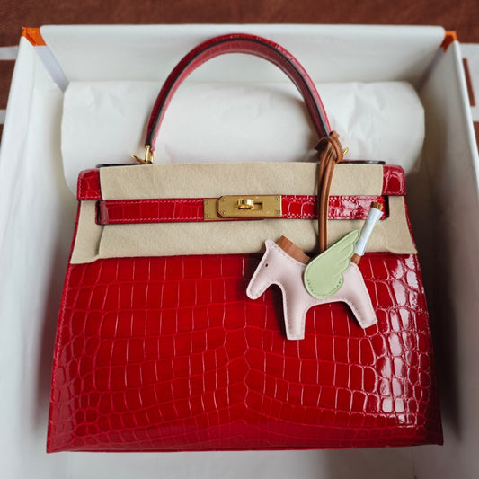 Hermès Kelly 25 Braise Shiny Crocodile