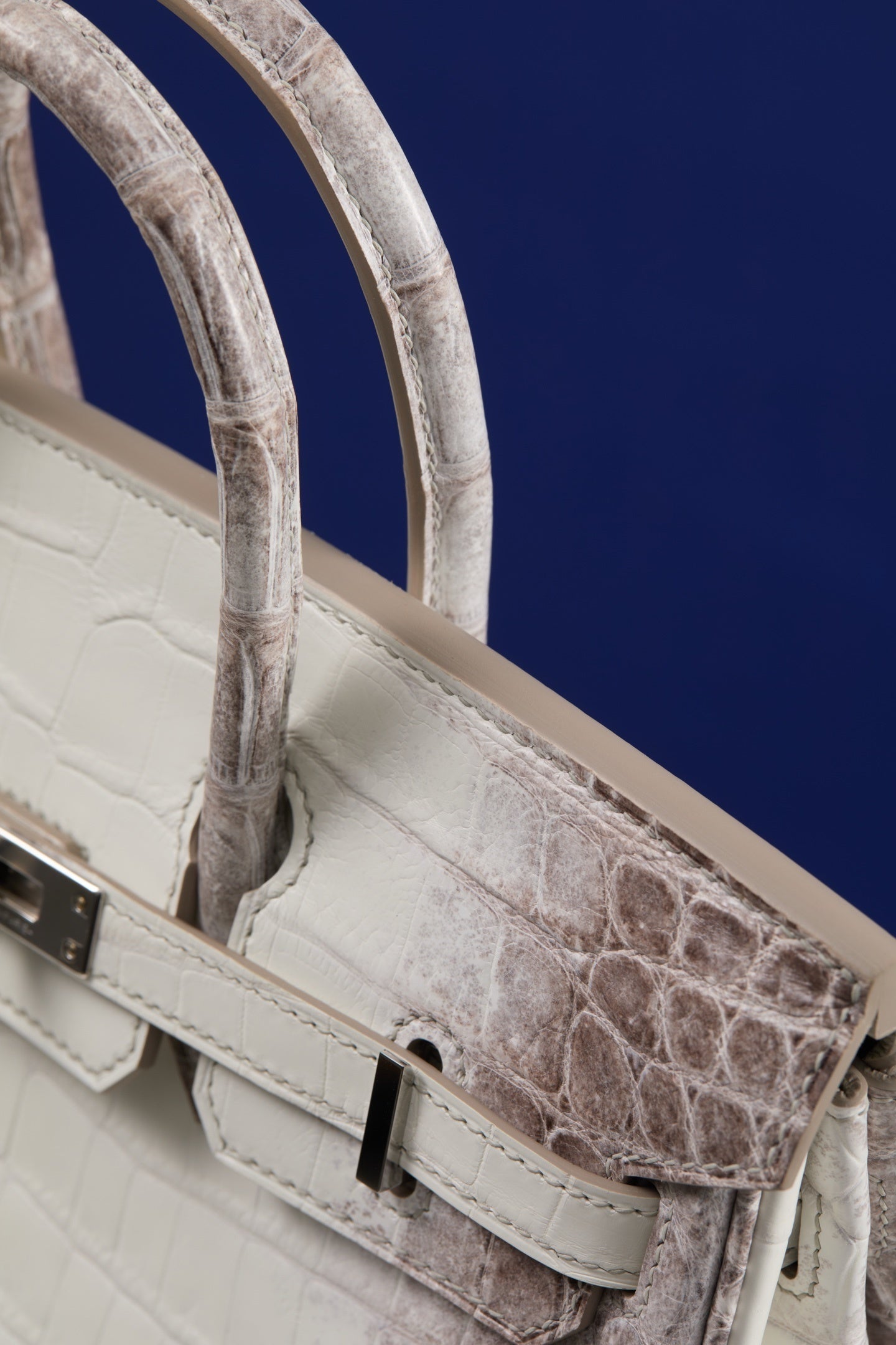 Hermès Birkin Himalaya Niloticus Crocodile – Iconic White & Grey Gradient Exotic Leather Bag