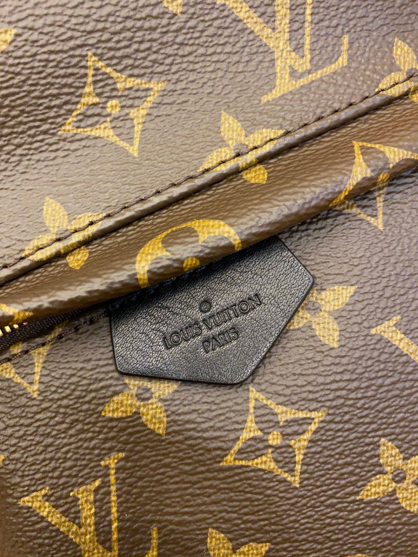 Louis Vuitton Palm Springs Backpack – Monogram Canvas, Brown (M41560)