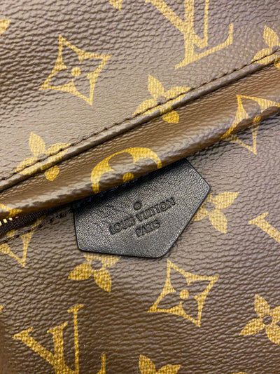 Louis Vuitton Palm Springs Backpack – Monogram Canvas, Brown (M41560)