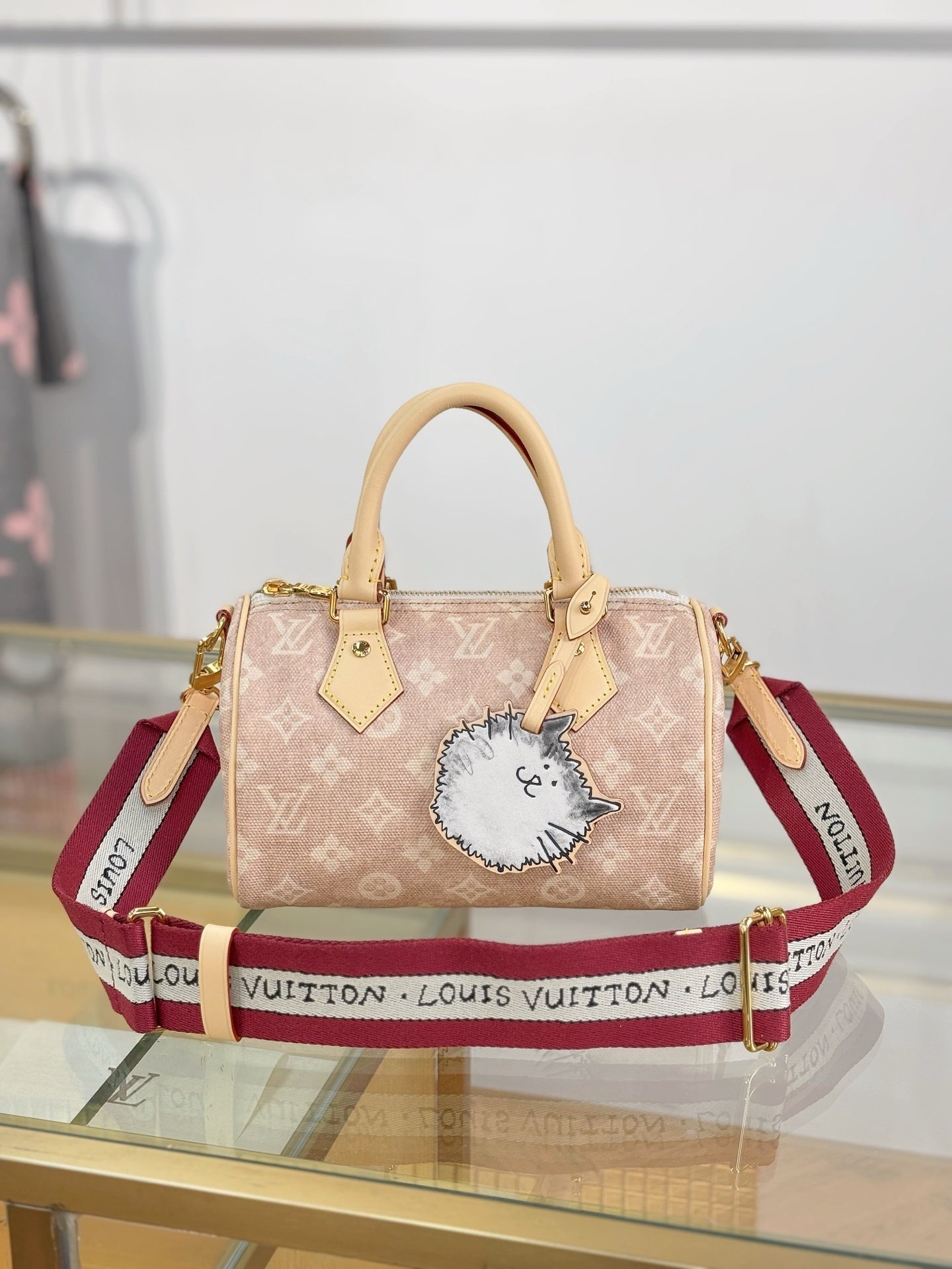 Louis Vuitton Speedy Bandoulière 20 – Monogram Canvas Handbag with Cowhide Leather & Signature Strap
