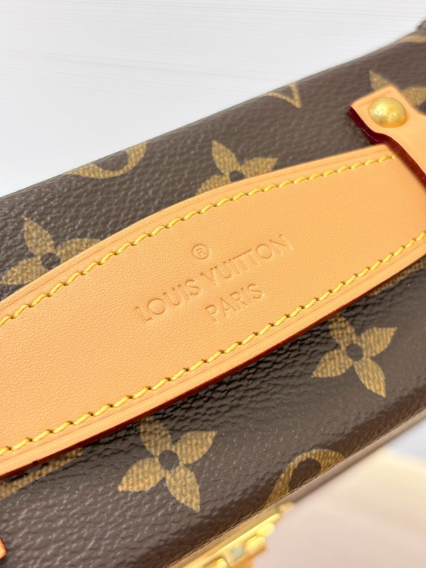 Louis Vuitton Montsouris Trunk Backpack in Monogram Canvas