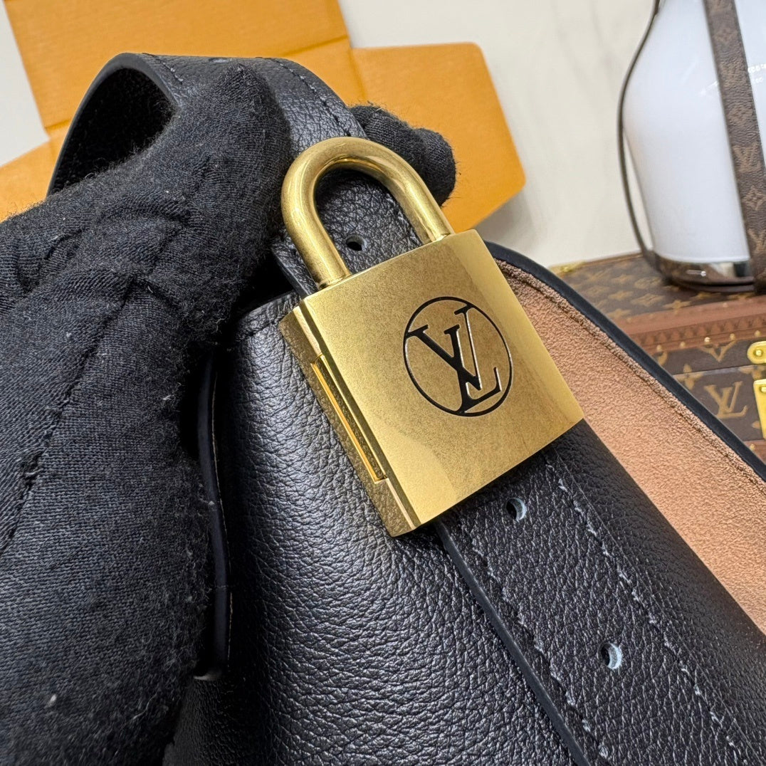 Louis Vuitton Low Key Messenger Handbag Luxury Designer Bag